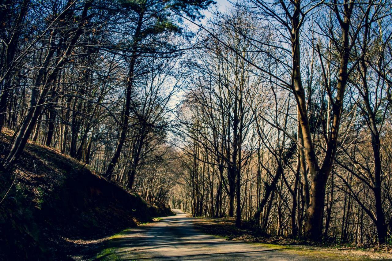 Posada De Bielva Kültér fotó